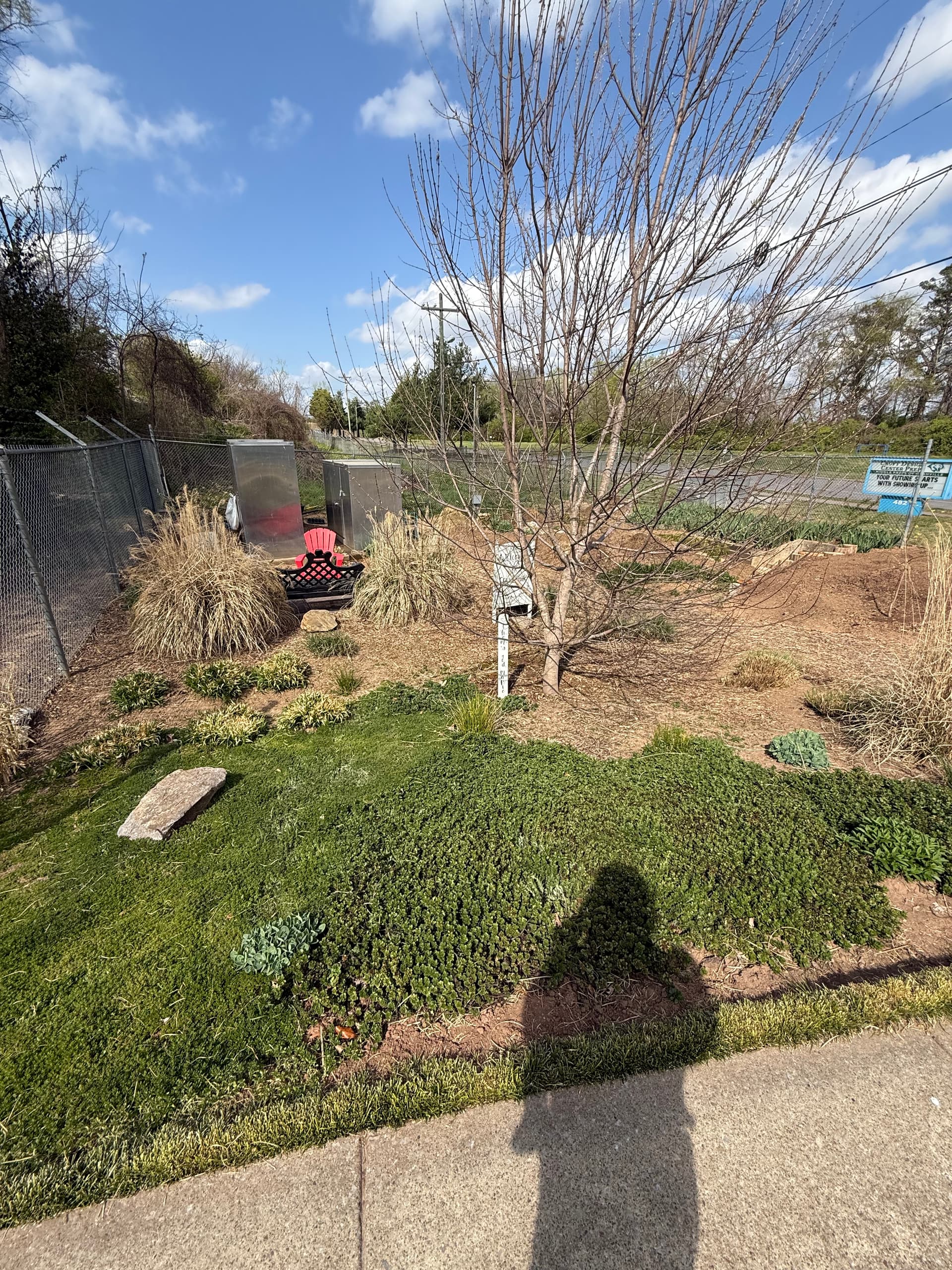 Wide shot of the full garden