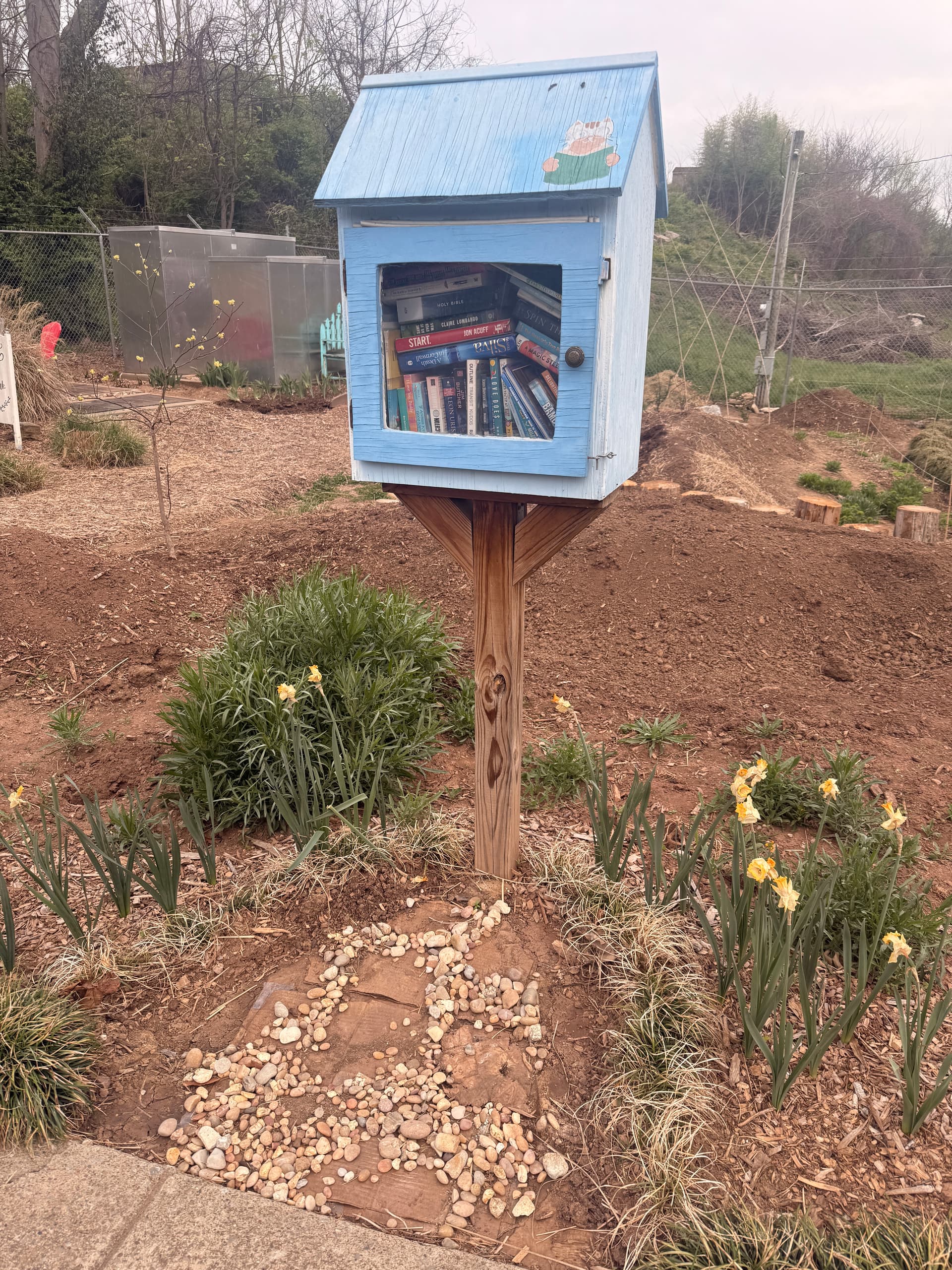 Little free library and rock garden at COVID Park